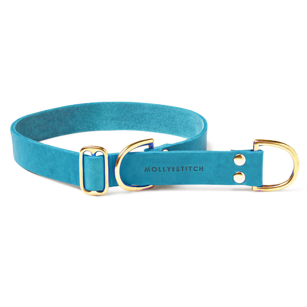 Butter Leather Retriever-Hundehalsband - Fiji Blue