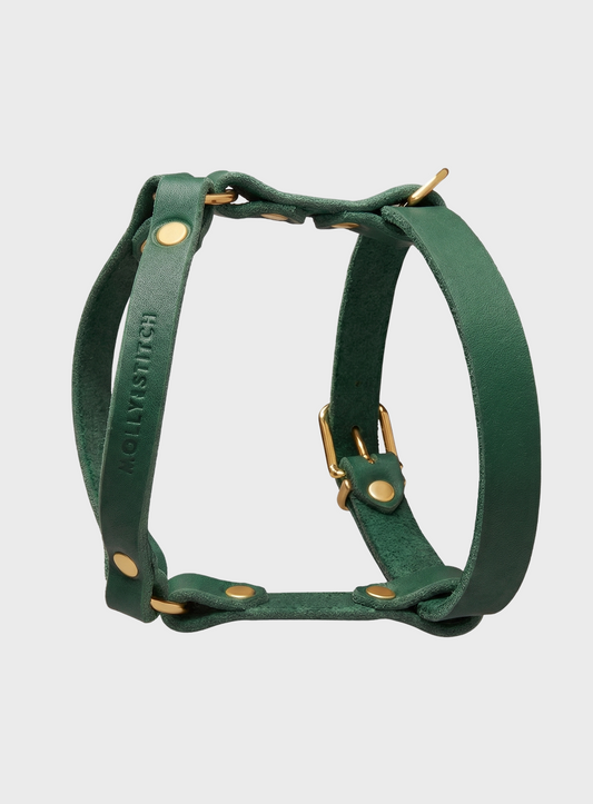 Butter Leather Y-Harness - Forest Green