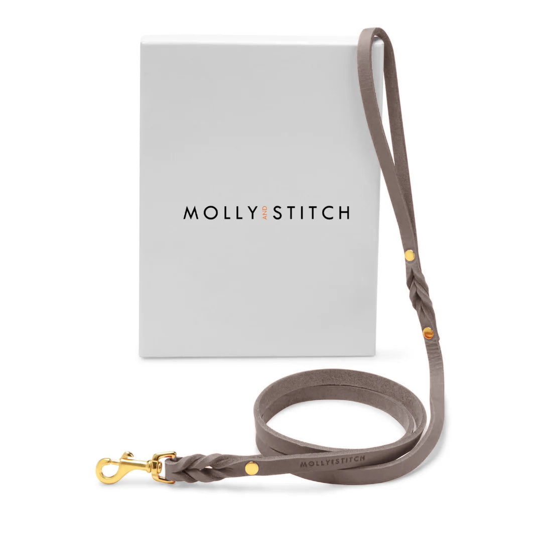 Butter Leather City Dog Leash - Taupe