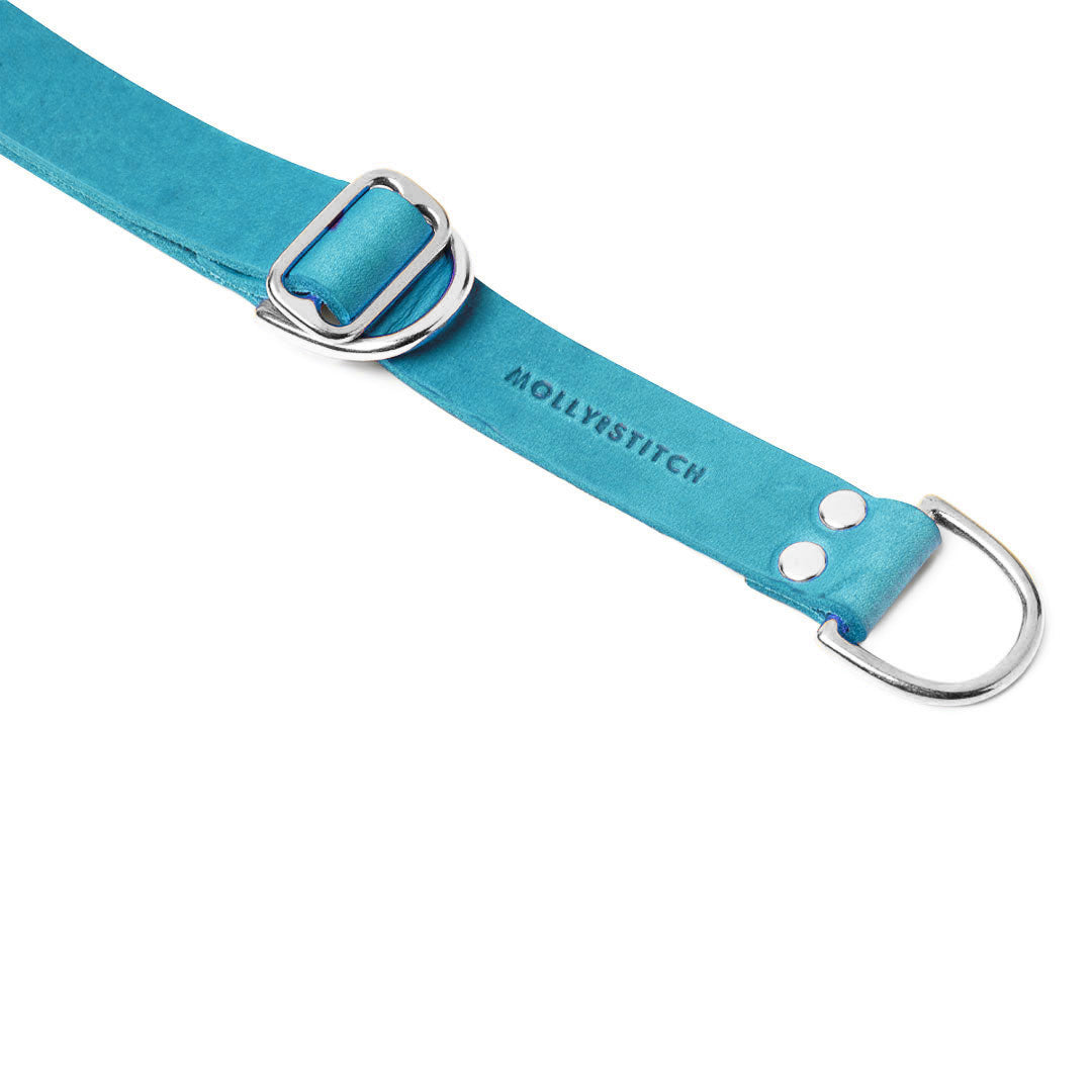 Butter Leather Retriever-Hundehalsband - Fiji Blue