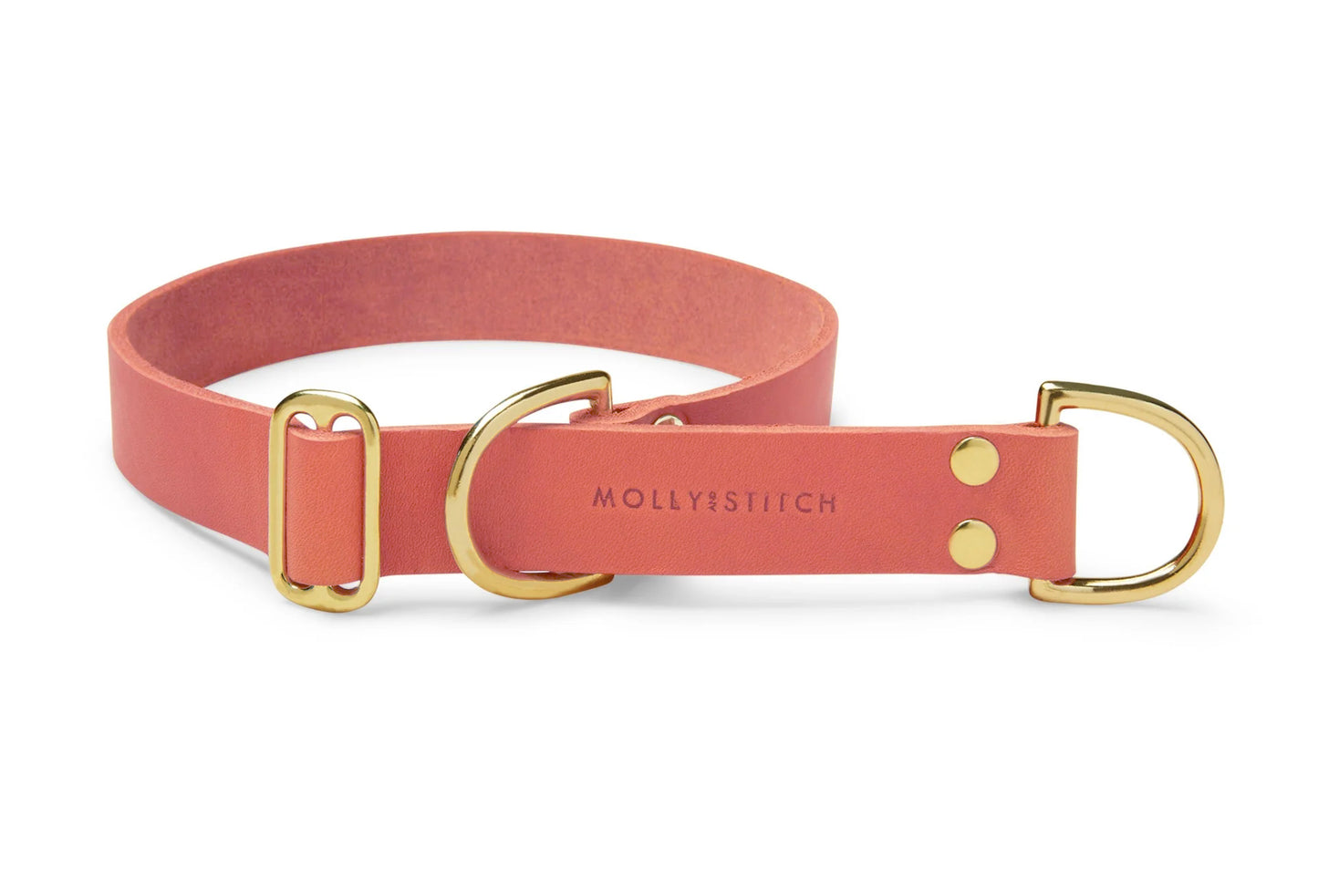 Butter Leather Retriever Dog Collar - Coral Pink