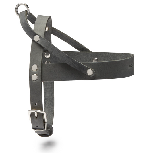 Butter Leather Dog Harness - Timeless Gray