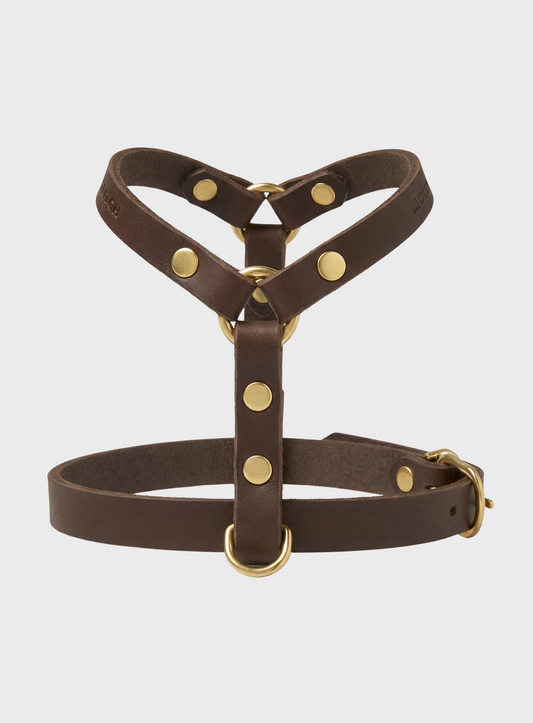 Butter Leather Y-Harness - Classic
