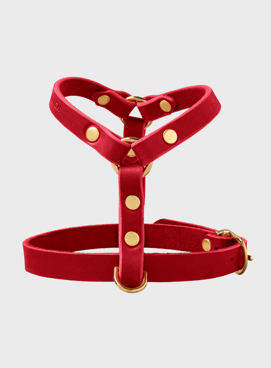 Butter Leather Y-Harness - Chili Red