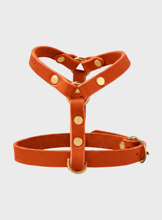Butter Leather Y-Harness - Mango