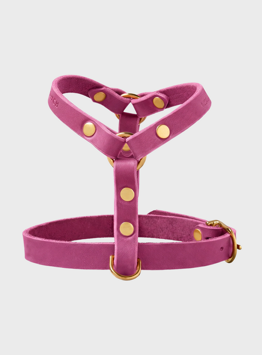 Butter Leather Y-Harness - Flamingo