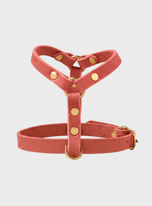 Butter Leather Y-Harness - Coral Pink