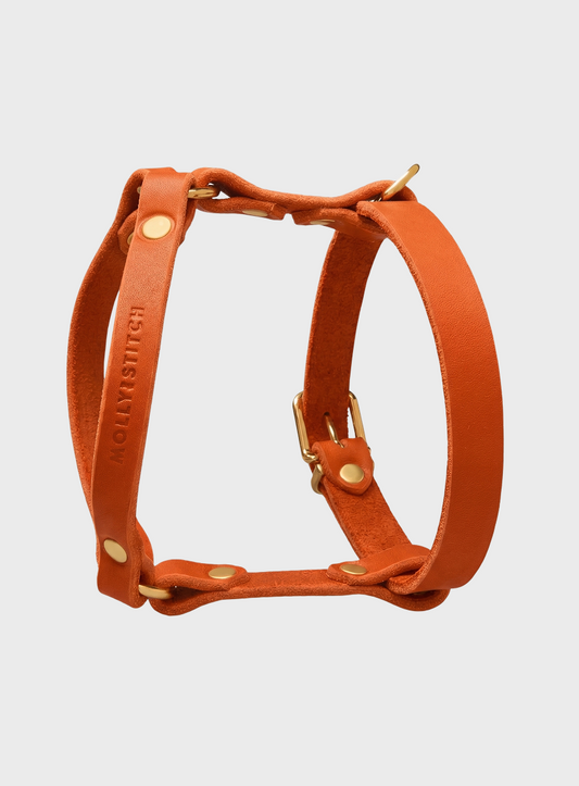 Butter Leather Y-Harness - Mango