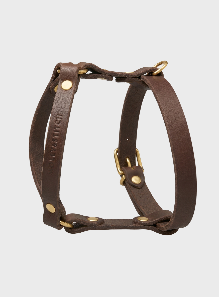 Butter Leder Y-Hundegeschirr - Classic Braun