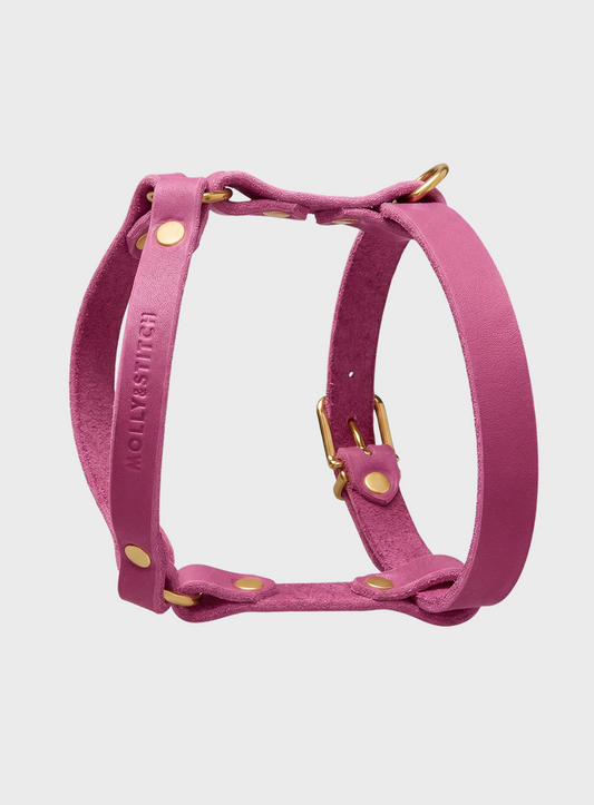 Butter Leather Y-Harness - Flamingo