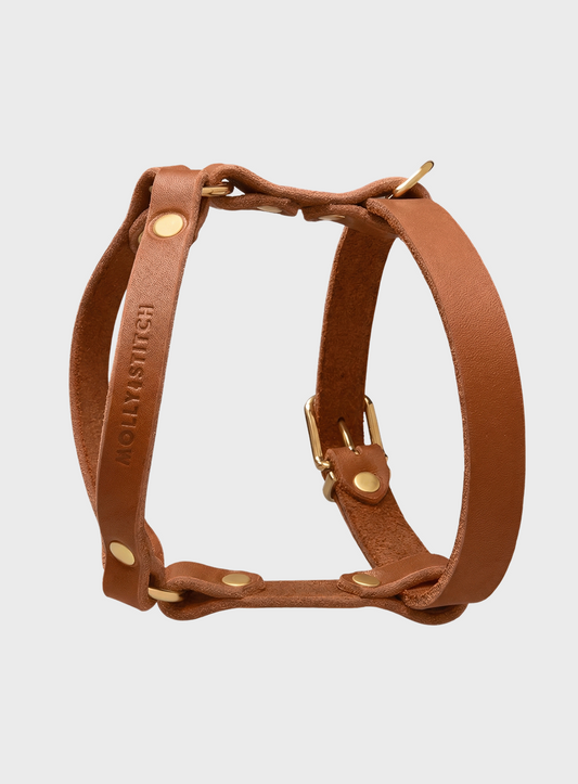 Butter Leather Y-Harness - Sahara
