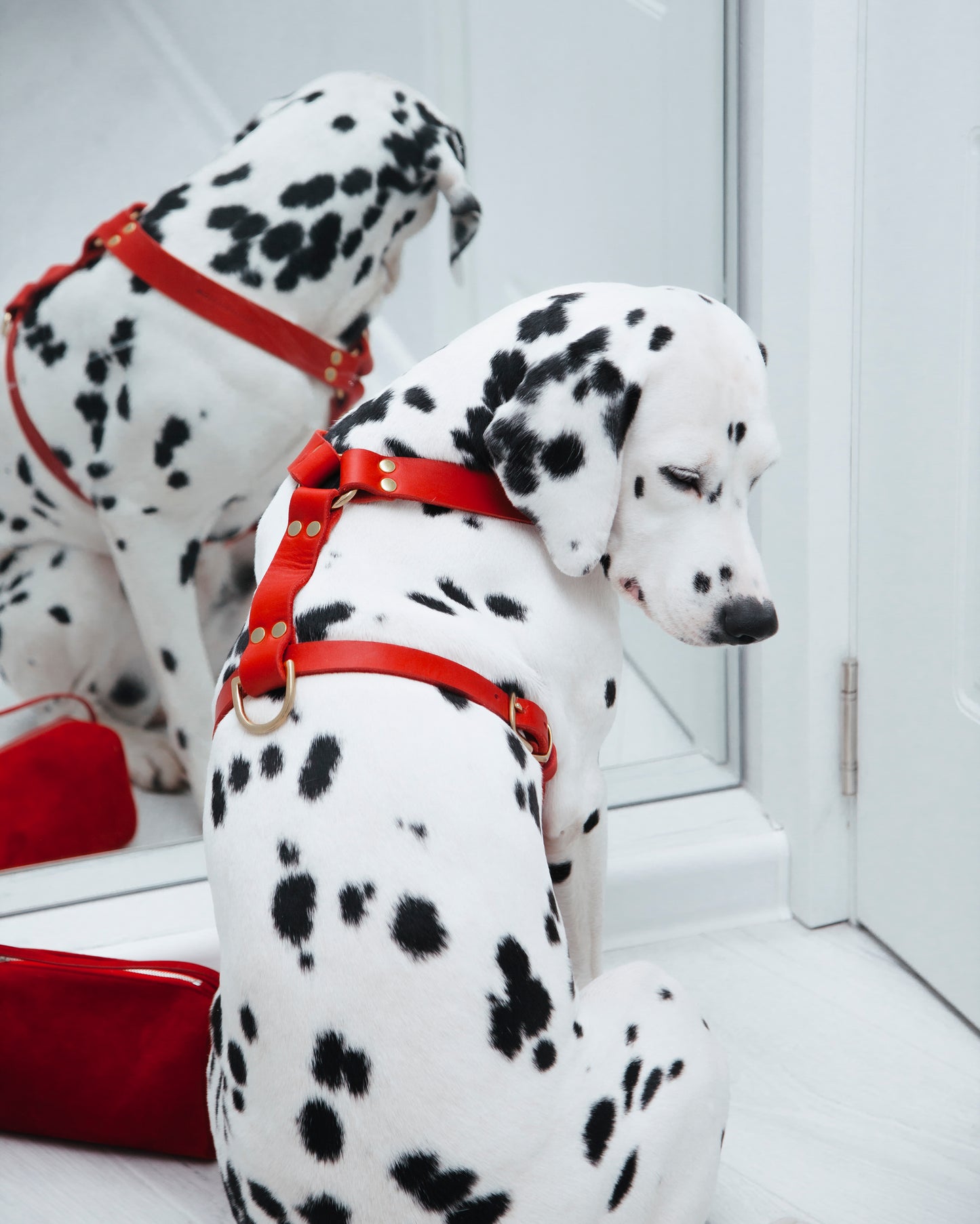 Butter Leather Y-Harness - Chili Red