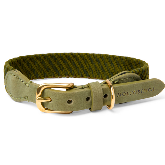 Serrana Dog Collar - Moss