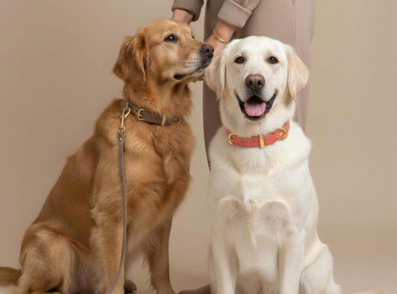 Butter Leather 3x Adjustable Dog Leash - Taupe
