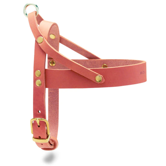 Butter Leather Dog Harness - Coral Pink
